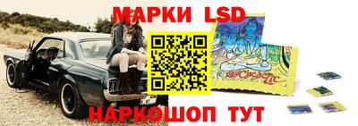 индика Лесосибирск