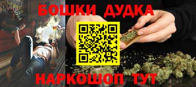 индика Лесосибирск