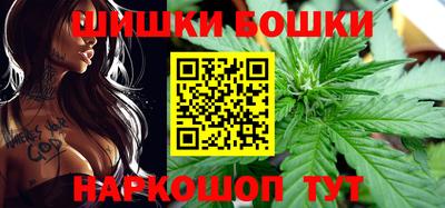 индика Лесосибирск