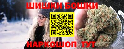 индика Лесосибирск