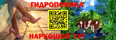 индика Лесосибирск