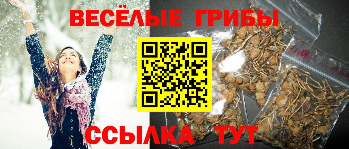 Псилоцибиновые грибы Cubensis Добрянка