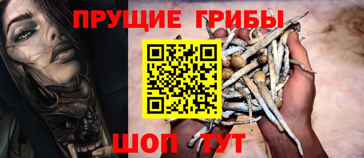 Добрянка  Псилоцибиновые грибы прущие грибы  Вход с VPN 